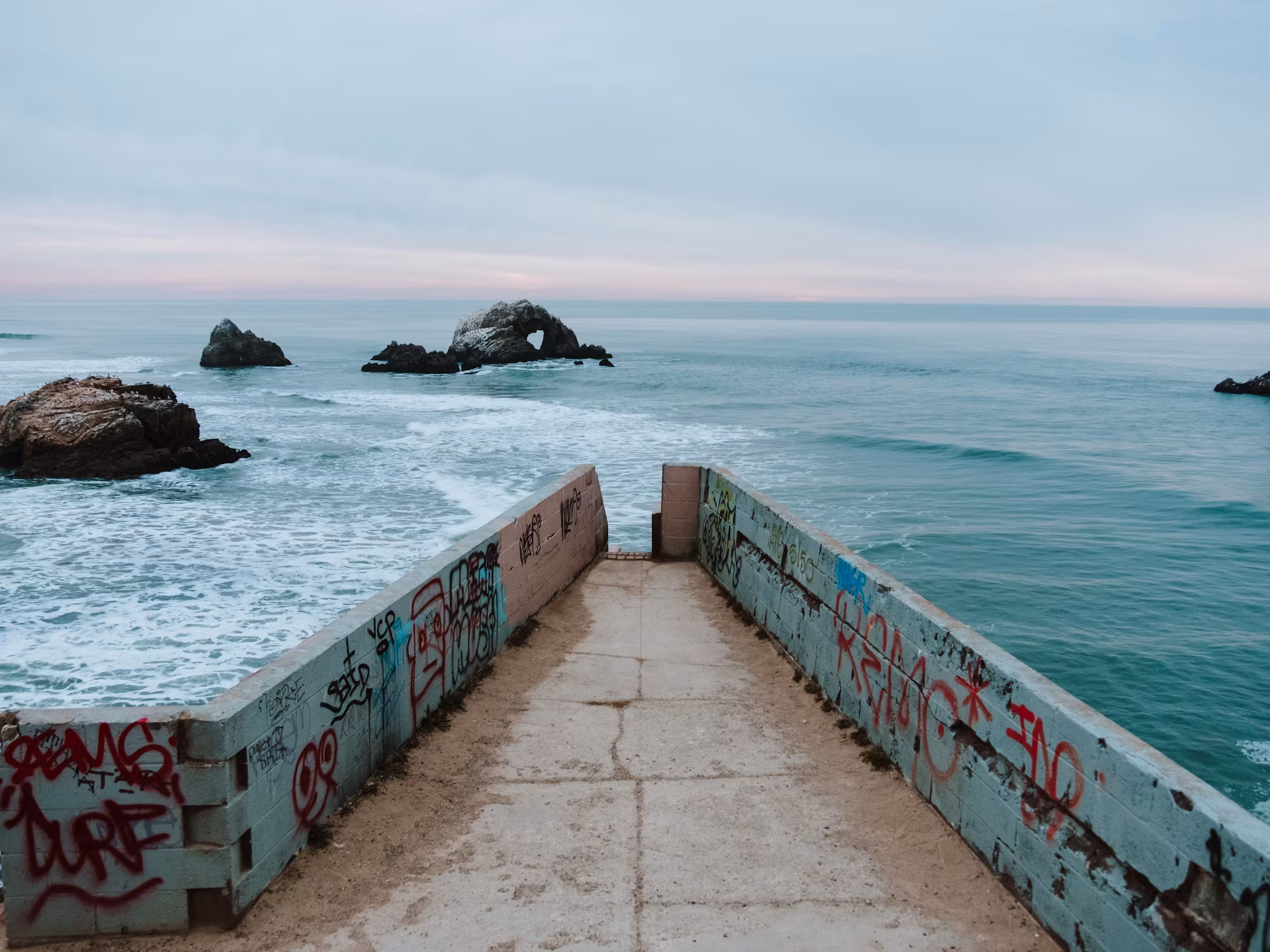 Exploring the Wonders of Coastal Nature: A Journey Through Marine Biodiversity